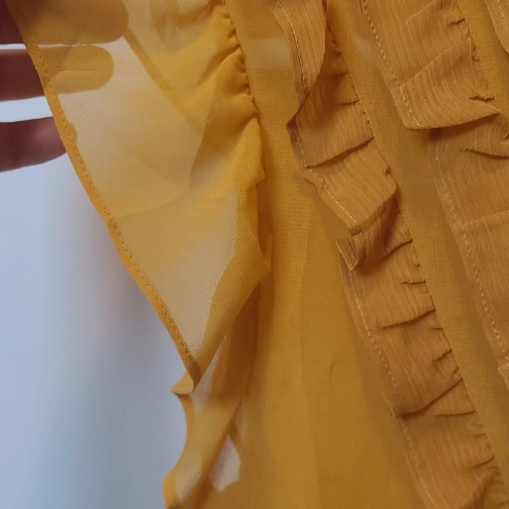 Banana Republic sheer top - Picture 4 of 8